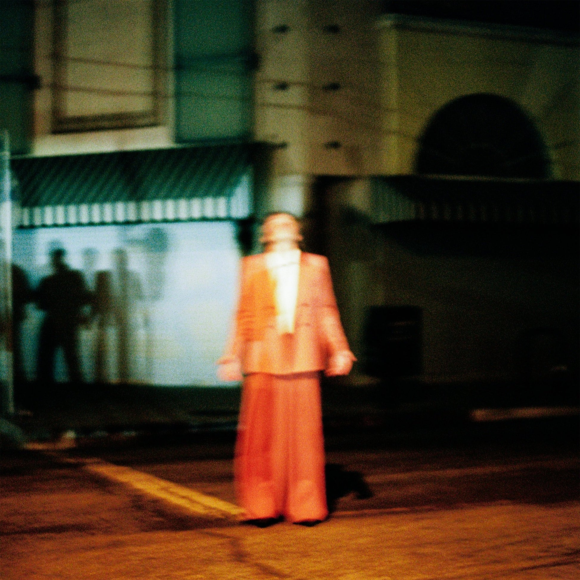 Bernardt, J. - Wild Swim