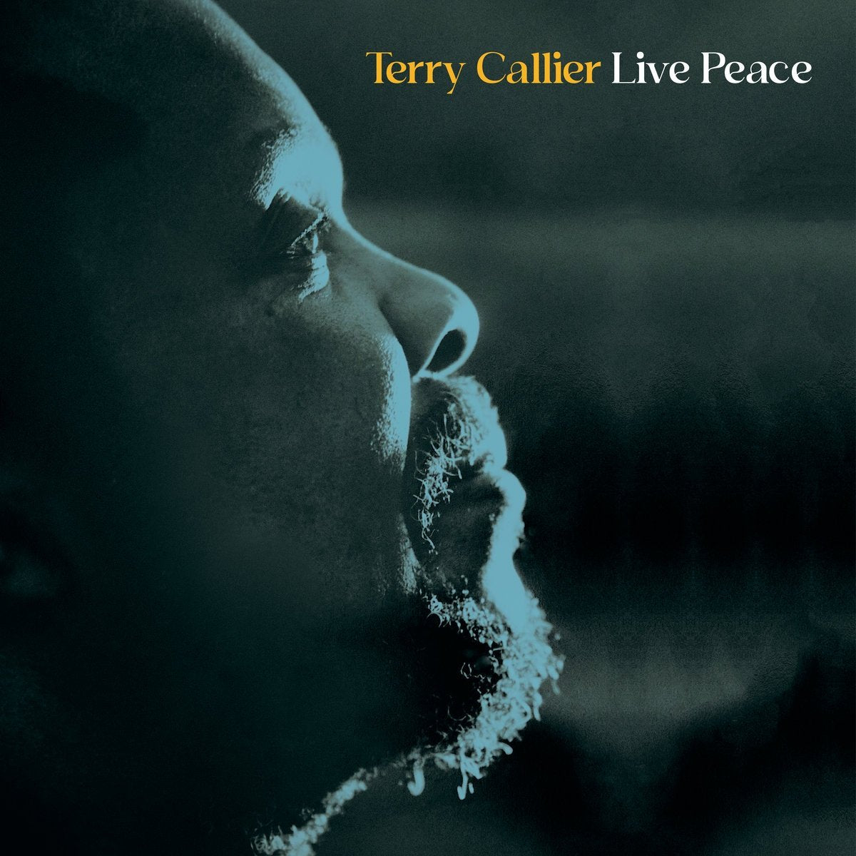 Callier, Terry - Live Peace