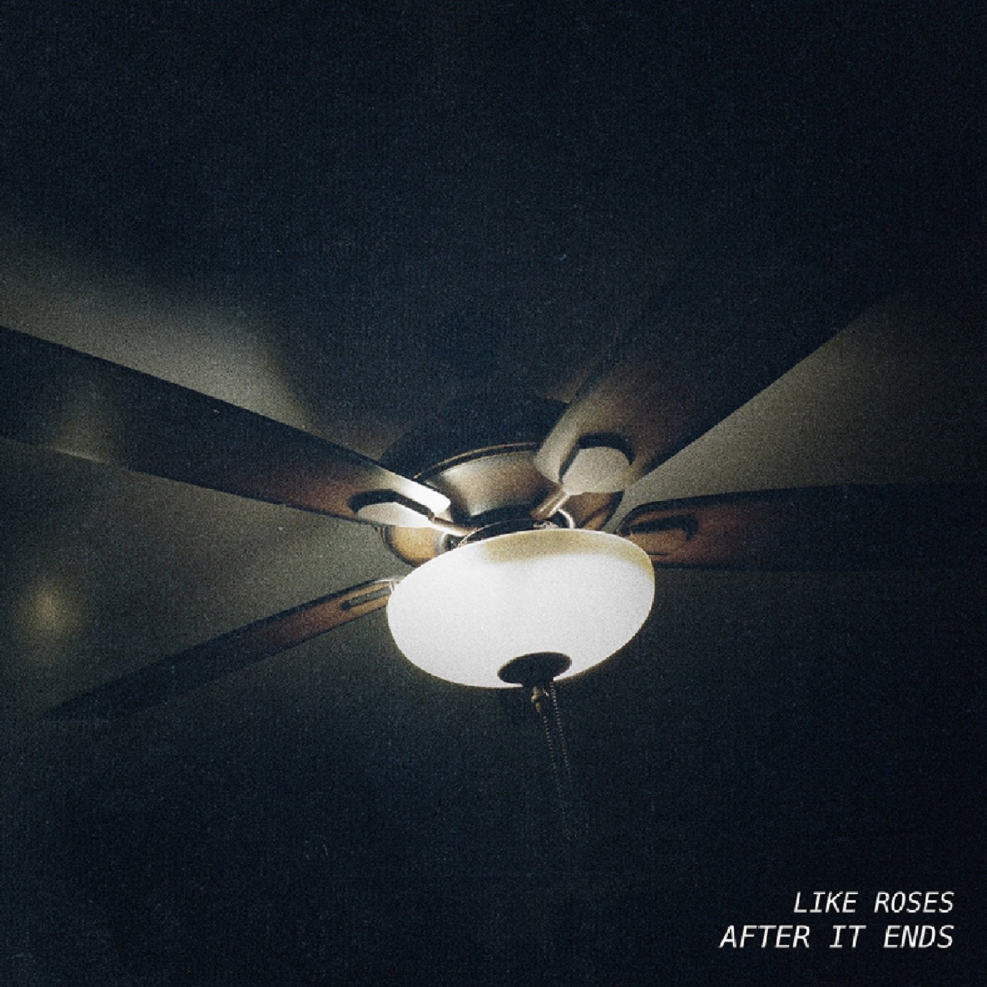 Like Roses - After It Ends