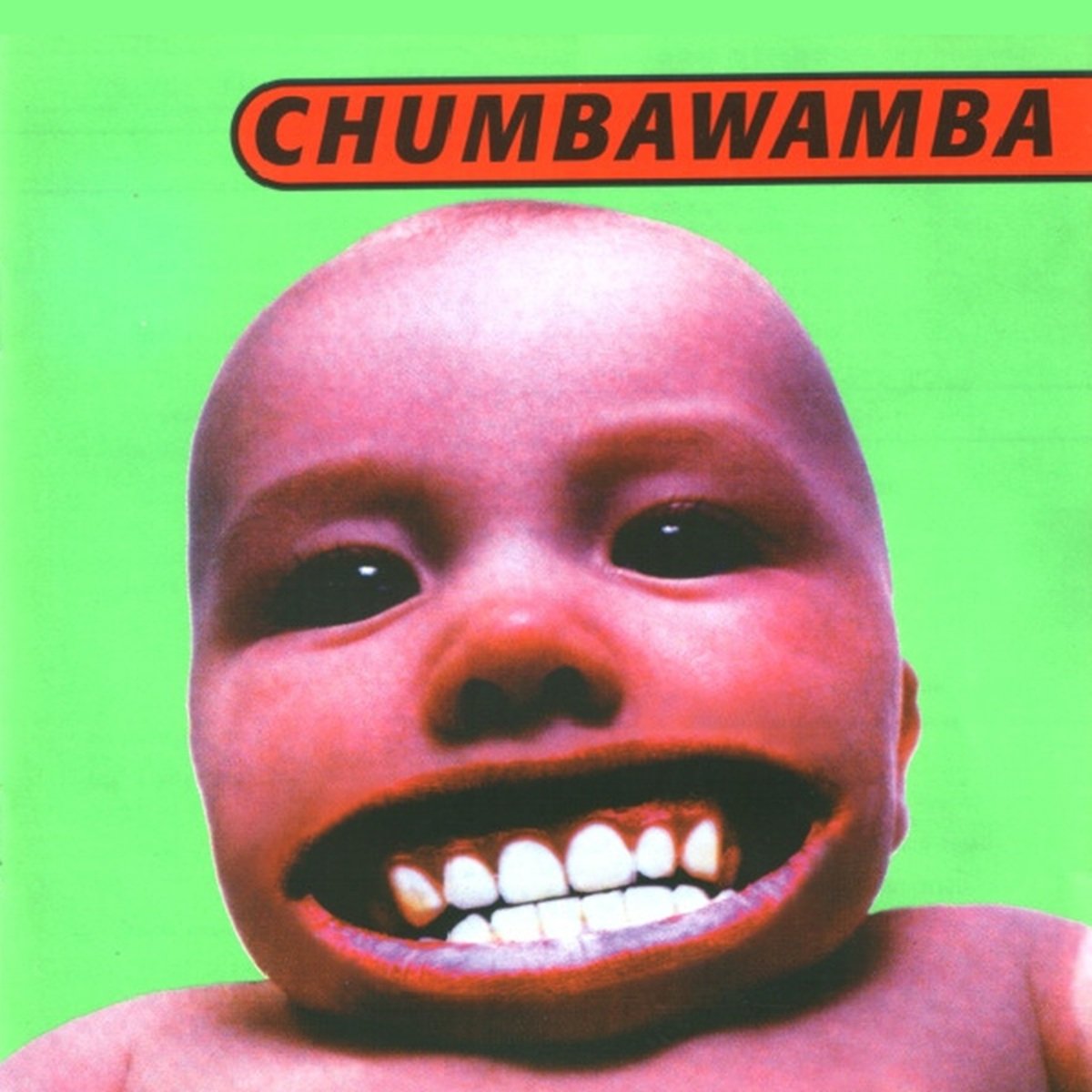Chumbawamba - Tubthumper
