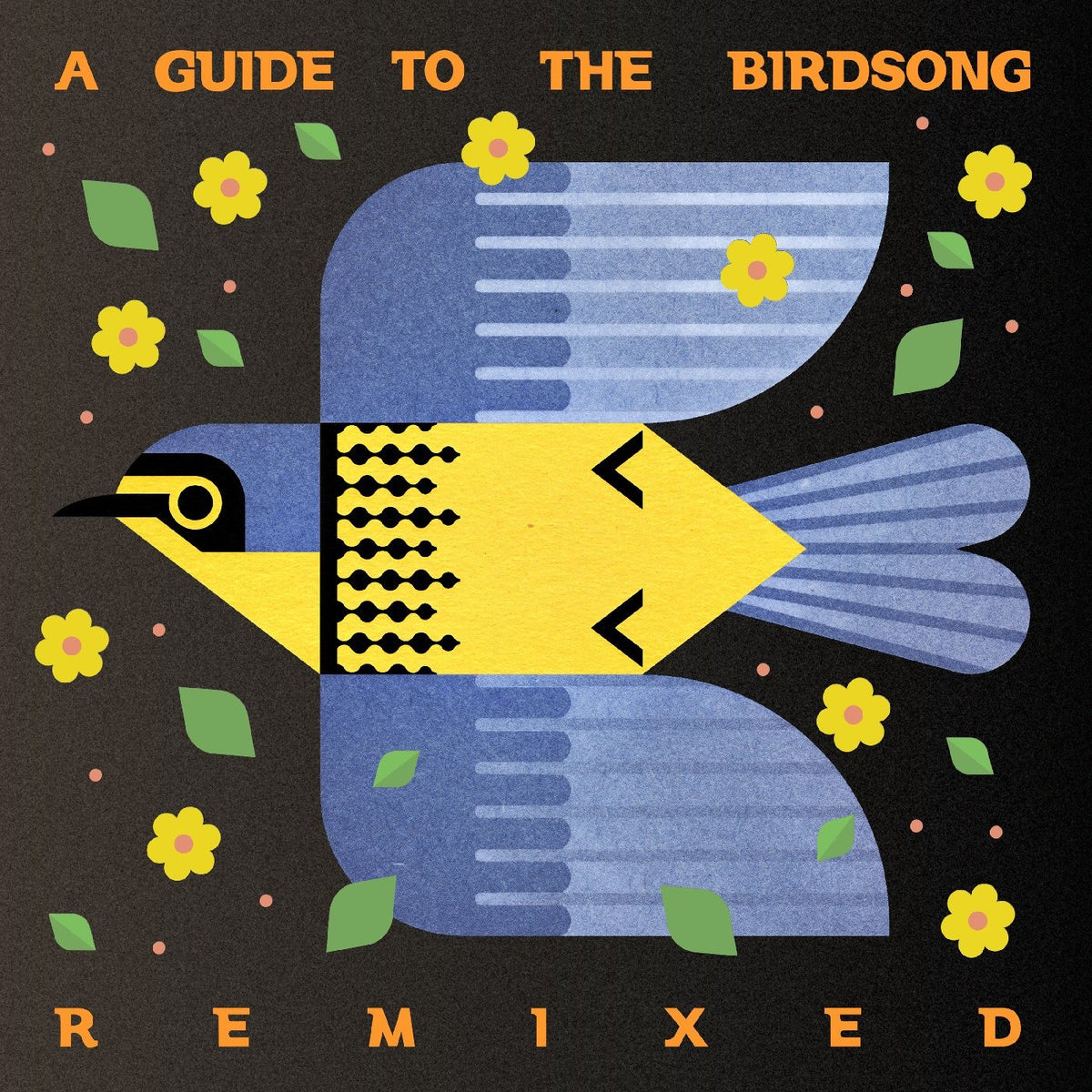 A Guide To The Birdsong Remixed - Various Artists