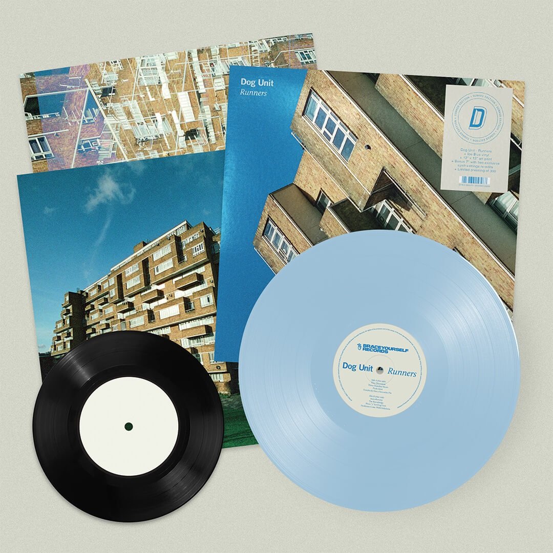 Dinked Edition - Ice Blue LP + Bonus 7" + Art Print