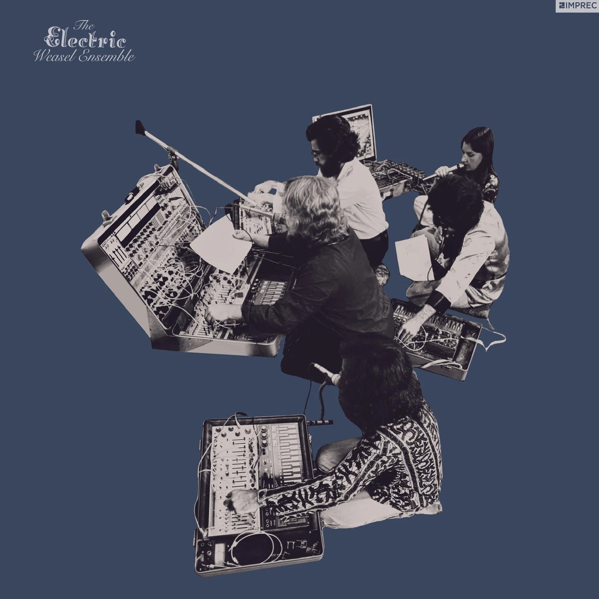 Electric Weasel Ensemble, The - The Electric Weasel Ensemble