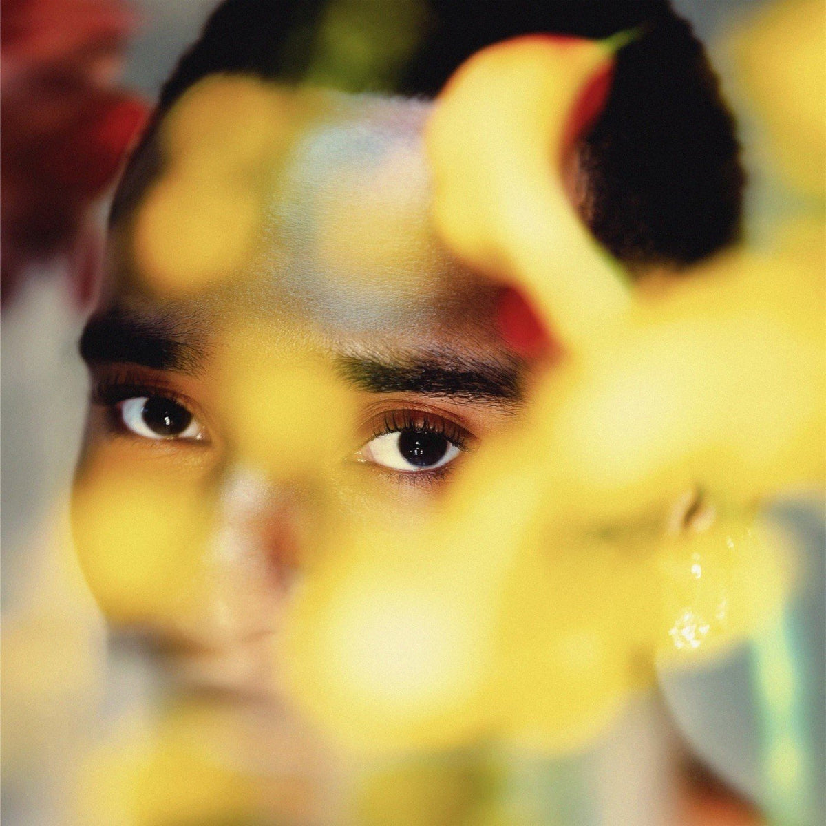 Bernarr, Durand - Bloom