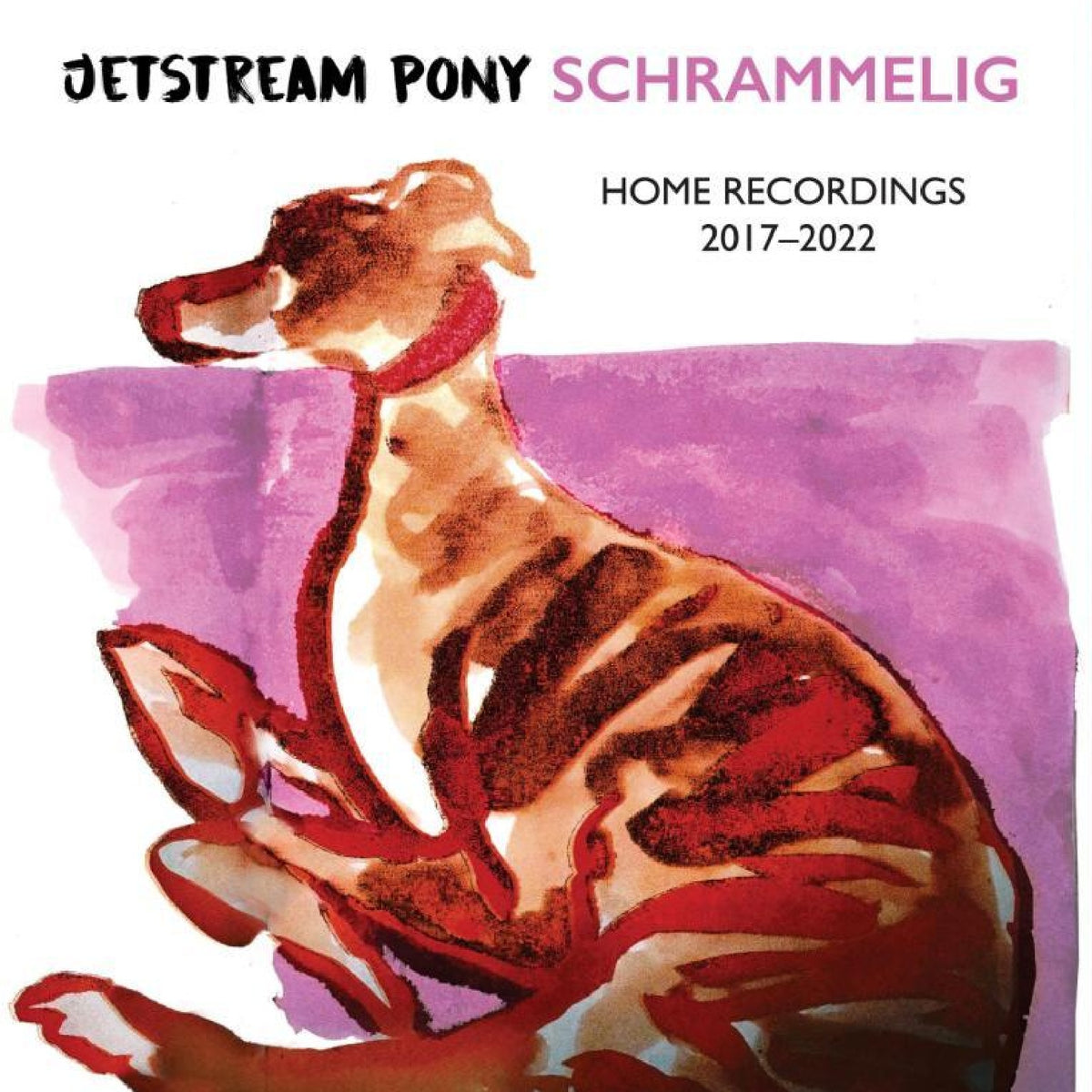 Jetstream Pony - Schrammelig