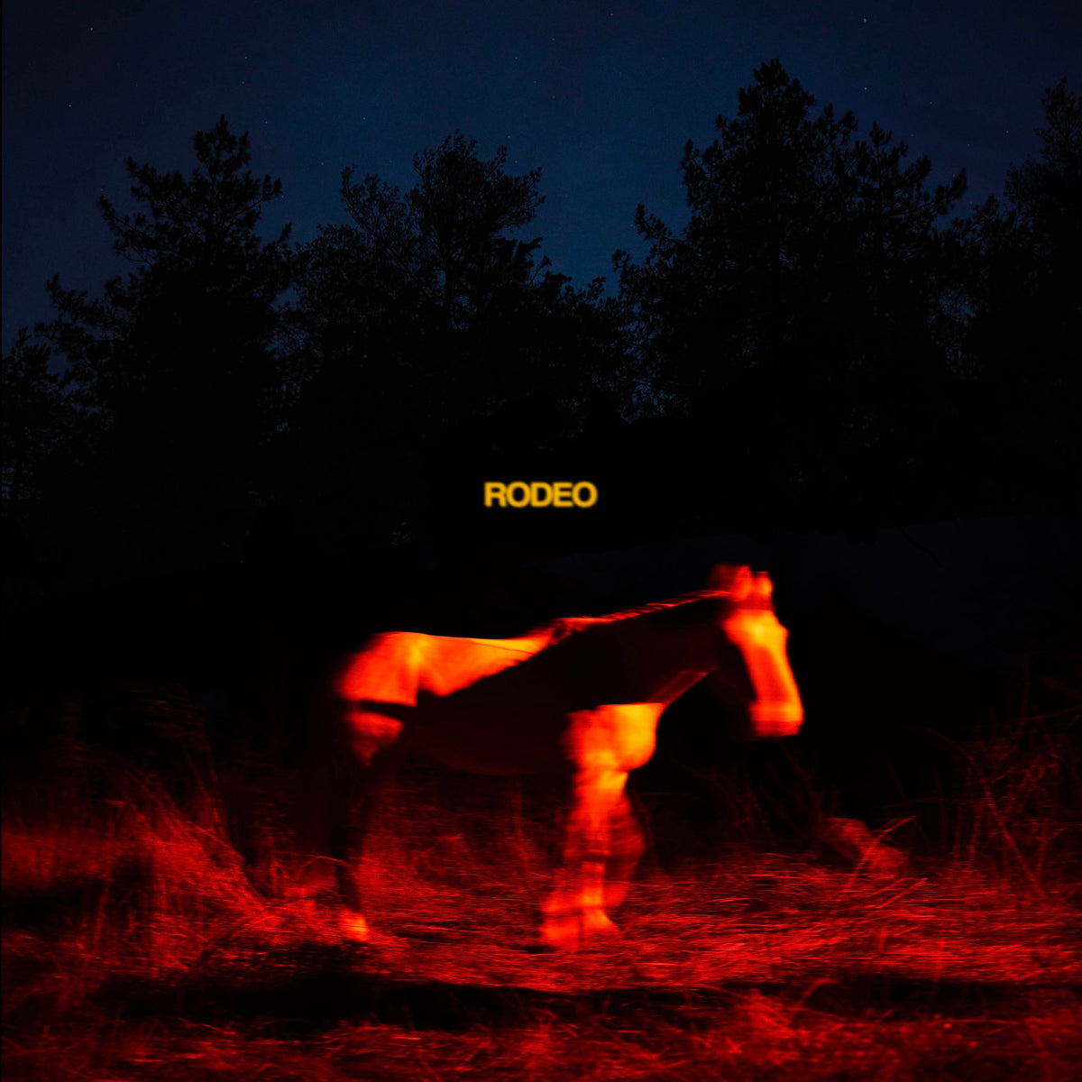 Daytime TV - Rodeo 