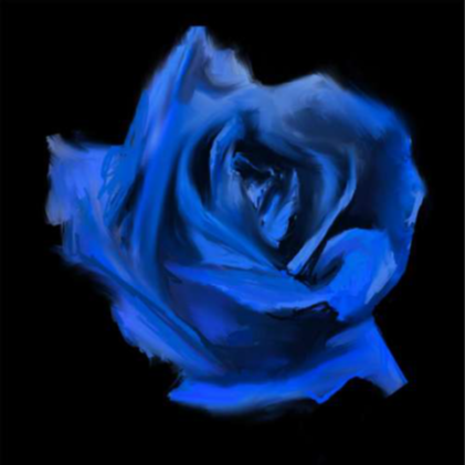 Current Joys - ROSEBUD