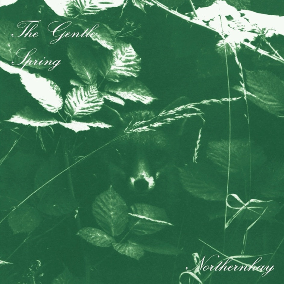 Gentle Spring, The - Northernhay