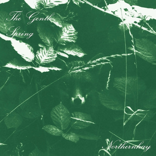 Gentle Spring, The - Northernhay