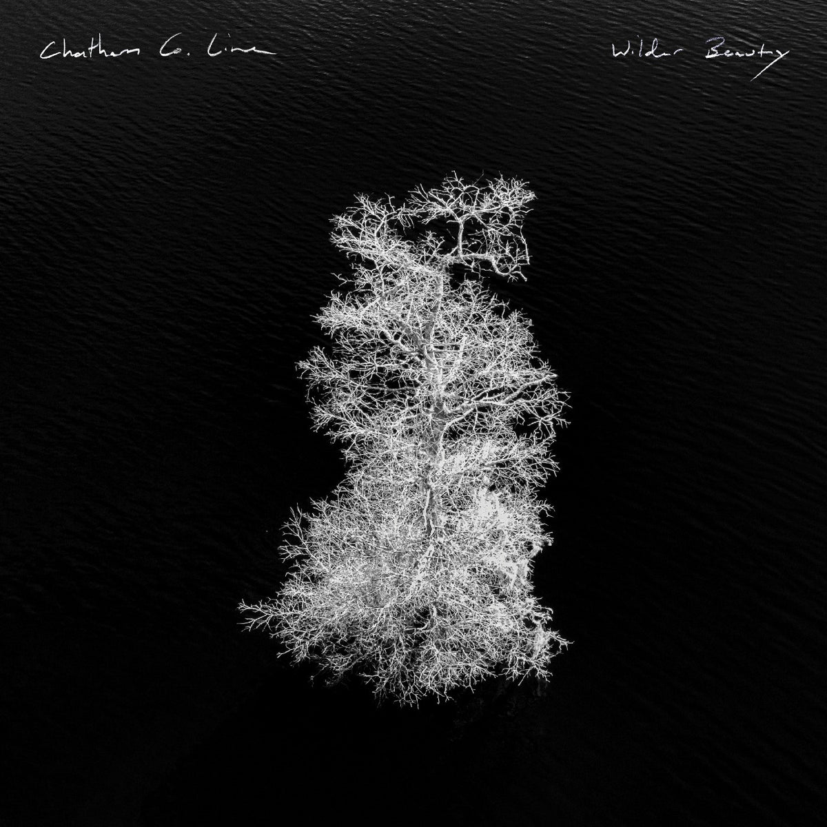 Chatham County Line - Wilder Beauty