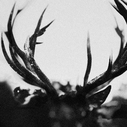 Ihsahn (Emperor) - Ihsahn
