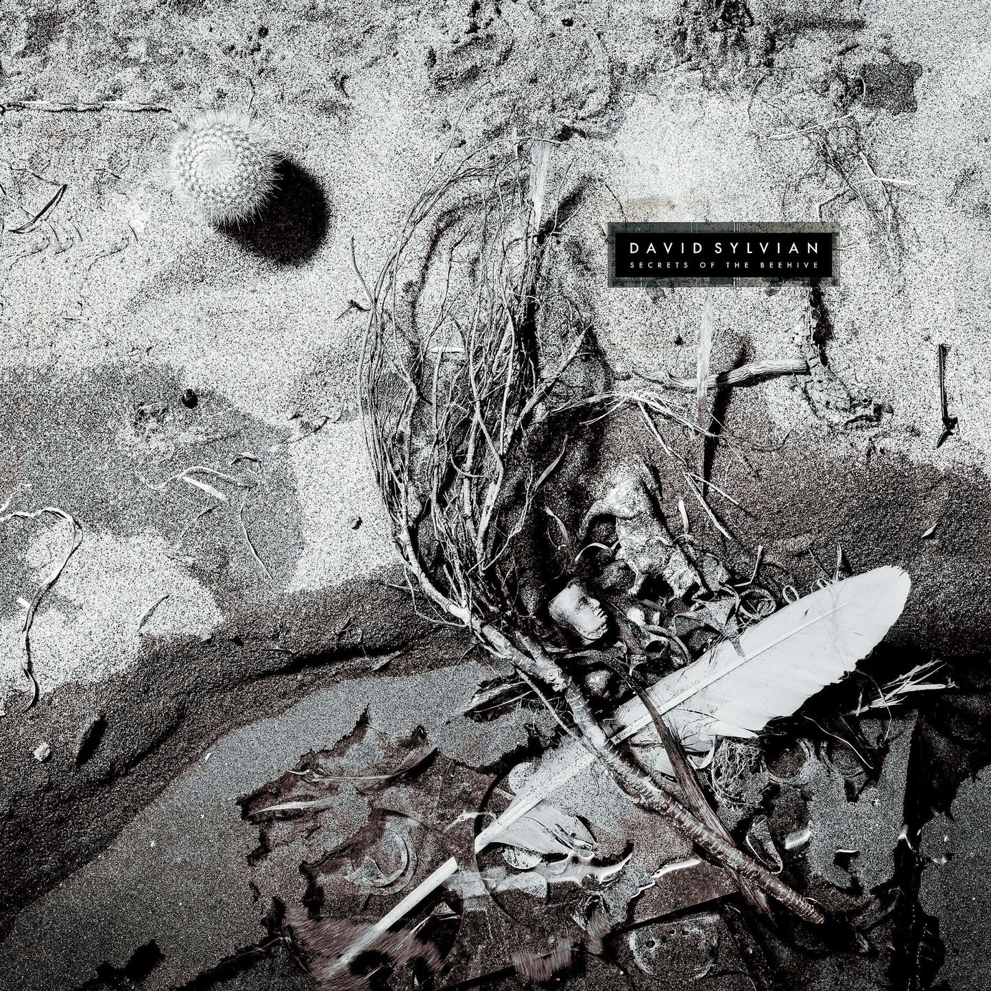 Sylvian, David - Secrets Of The Beehive (2025 Reissue)