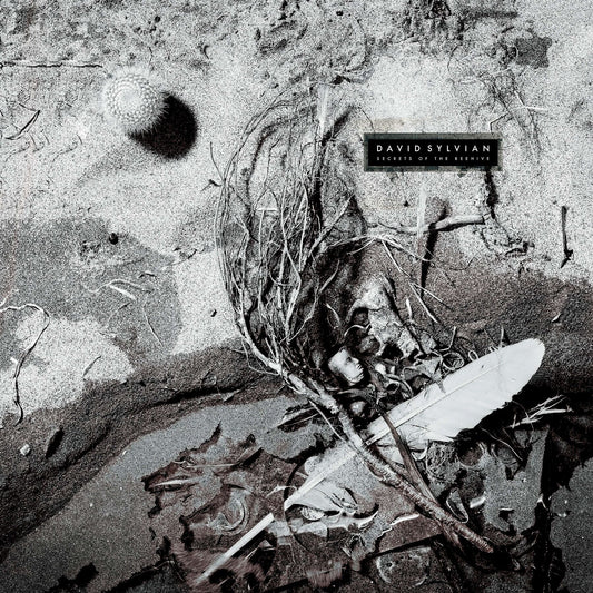 Sylvian, David - Secrets Of The Beehive (2025 Reissue)