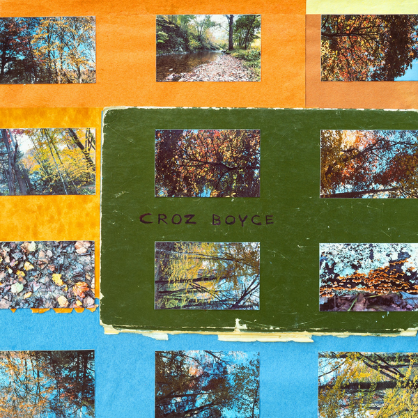 Croz Boyce (Avey Tare & Geologist) - Croz Boyce
