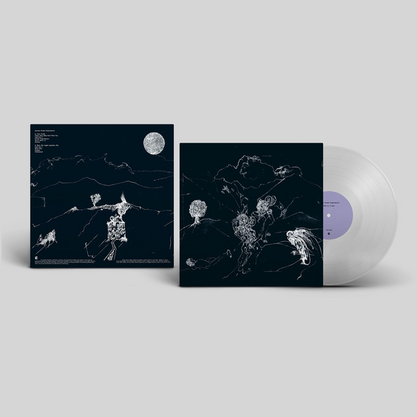 Anenon - Dream Temperature
