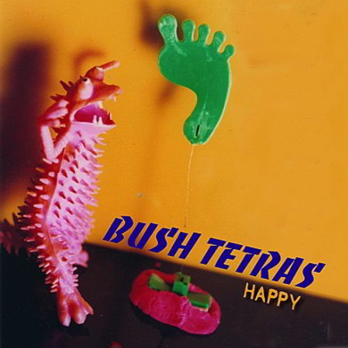 Bush Tetras - Happy