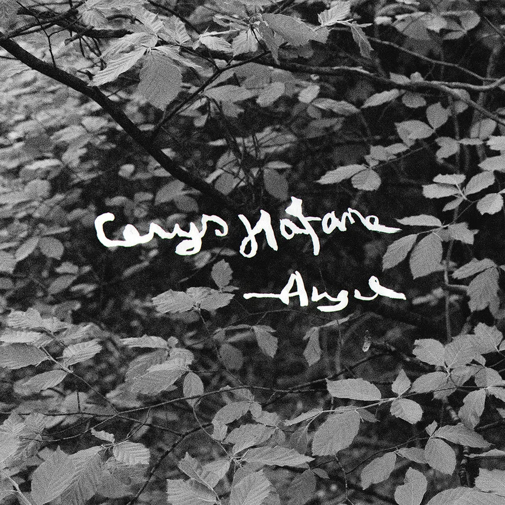 Hafana, Cerys - Angel