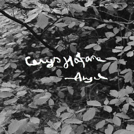 Hafana, Cerys - Angel