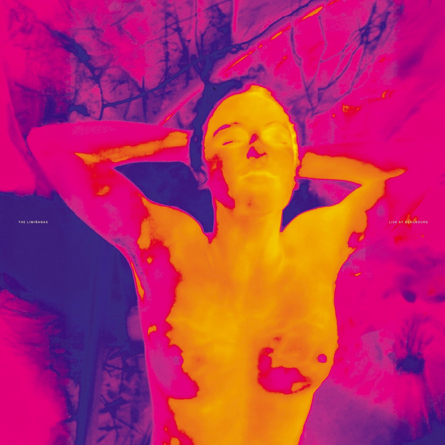 Liminanas, The - Live At Beaubourg