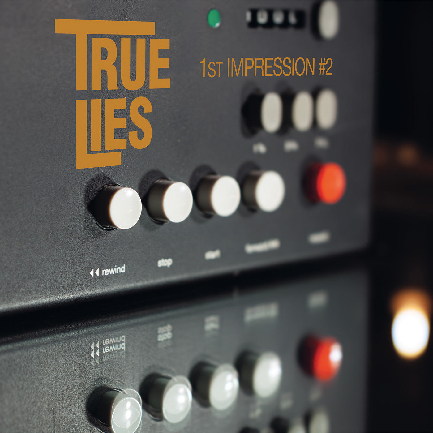 True Lies - 1st impression #2