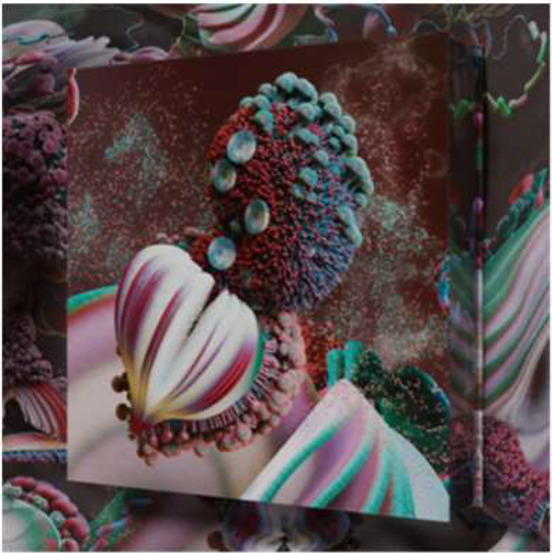Bjork - Fossora (Deluxe Boxset Edition)