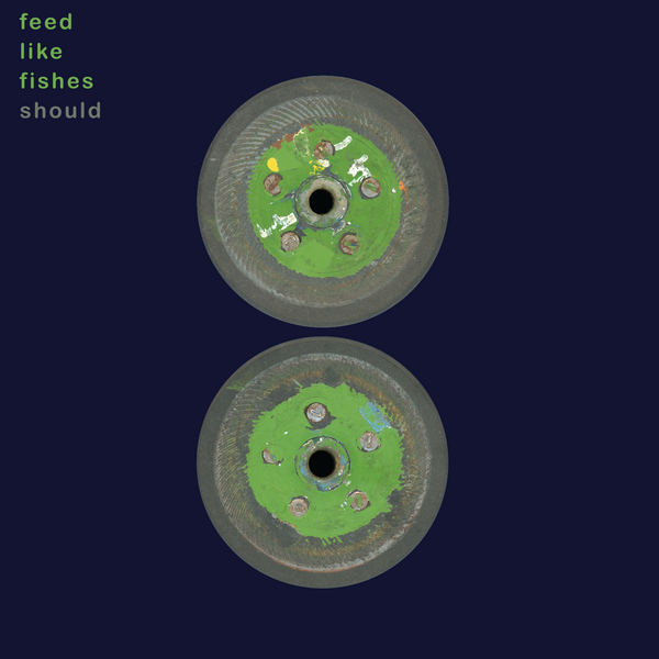 Should - Feed Like Fishes (2026 Reissue)
