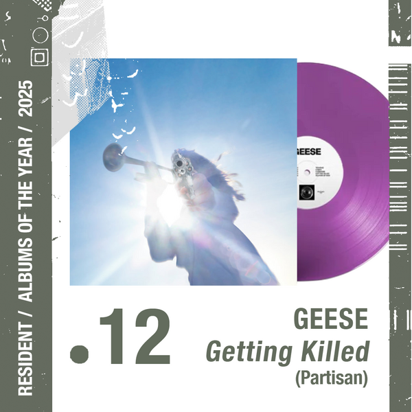 Geese - Getting Killed