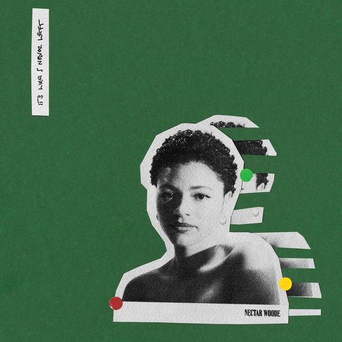 Woode, Nectar - It's Like I Never Left