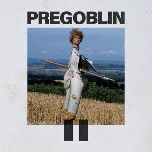Pregoblin - Pregoblin Ii