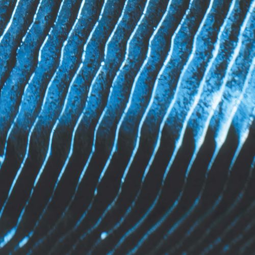 Monolake - Gravity (First Time On Vinyl!)