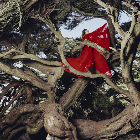 Frances, Hannah - Nested in Tangles