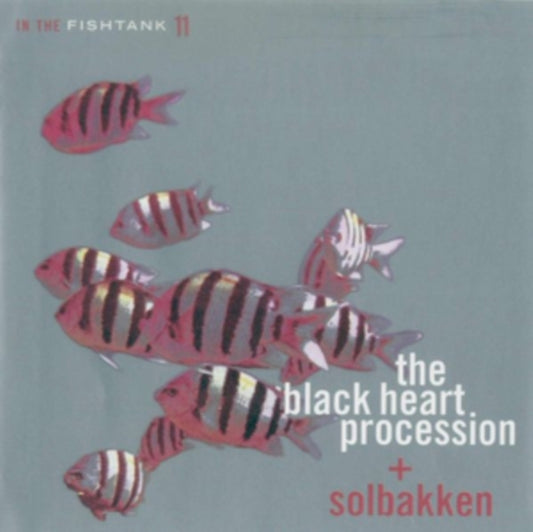 Black Heart Procession, The / Solbakken - In The Fishtank 11 (2025 Repress)
