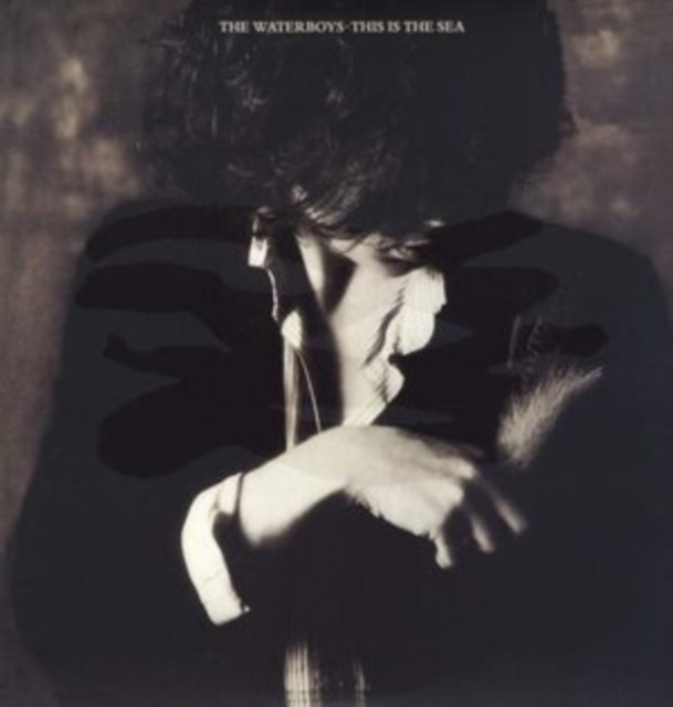 Waterboys, The - This Is The Sea