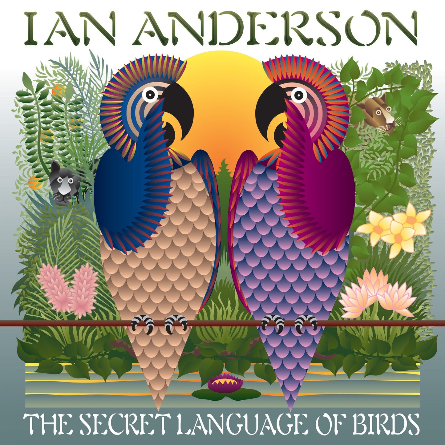 Anderson, Ian - The Secret Language Of Birds
