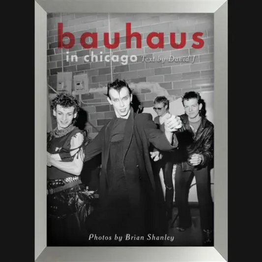 J, David / Brian Shanley - Bauhaus In Chicago