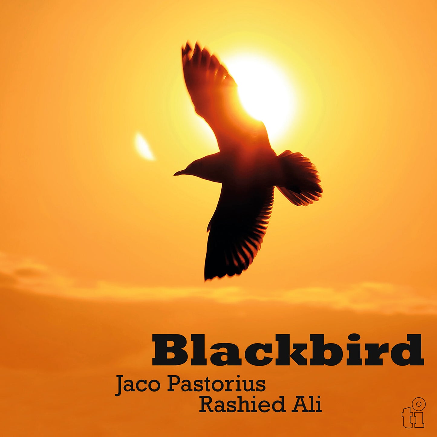 Pastorius, Jaco & Rashied Ali - Blackbird