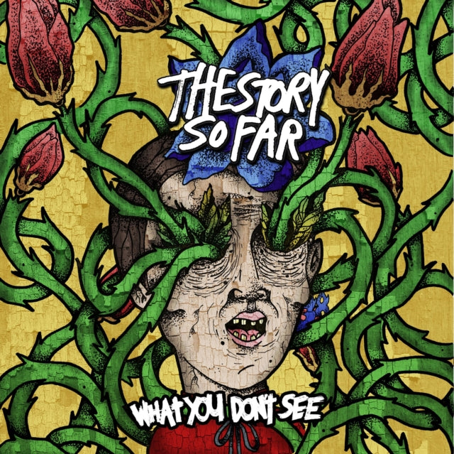 Story So Far, The - What You Don't See (2025 Reissue)