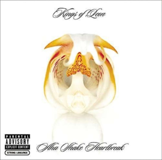 Kings Of Leon - Aha Shake Heartbreak