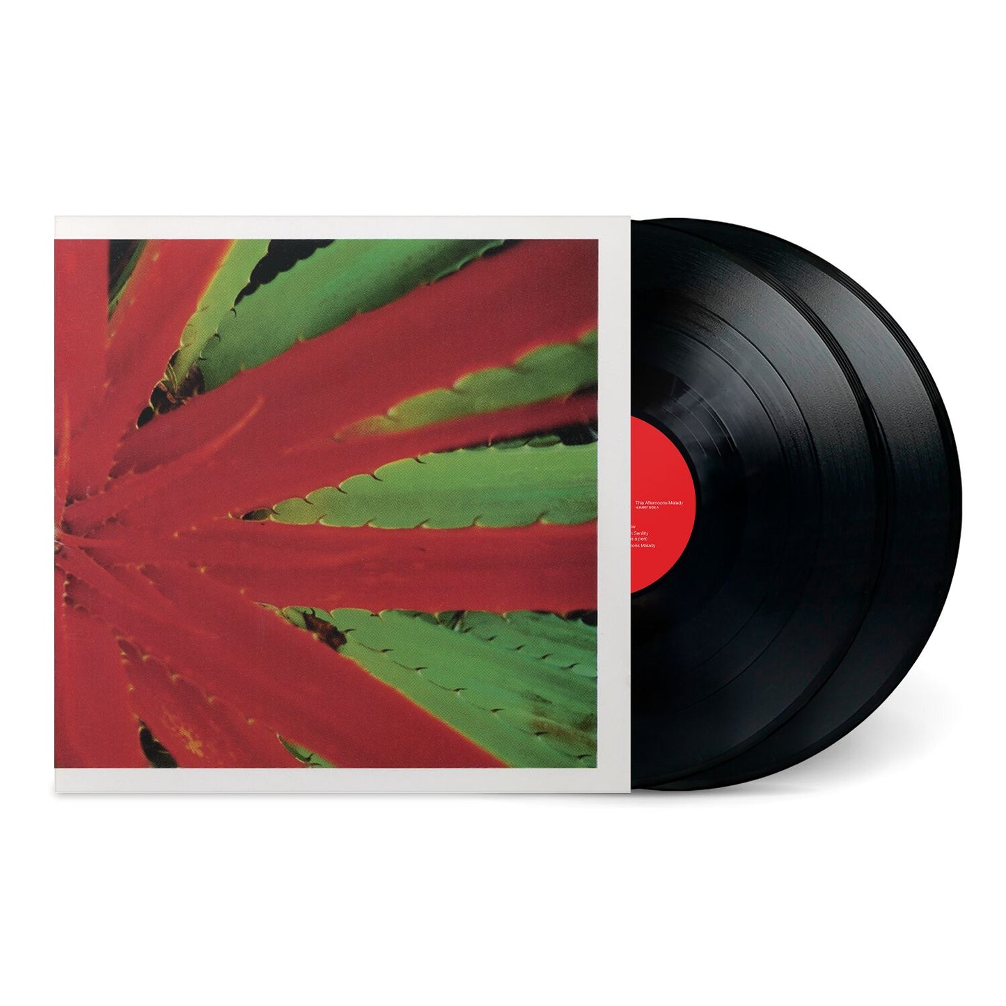 Jejune - This Afternoons Malady (2025 Reissue)