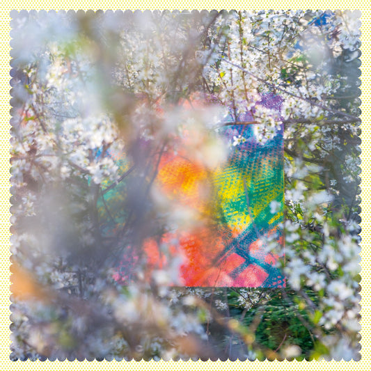 Four Tet - Sixteen Oceans (2026 Repress)