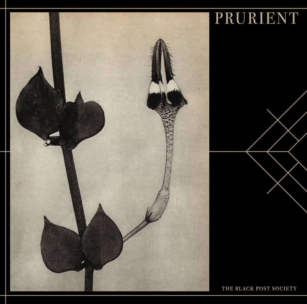 Prurient - The Black Post Society