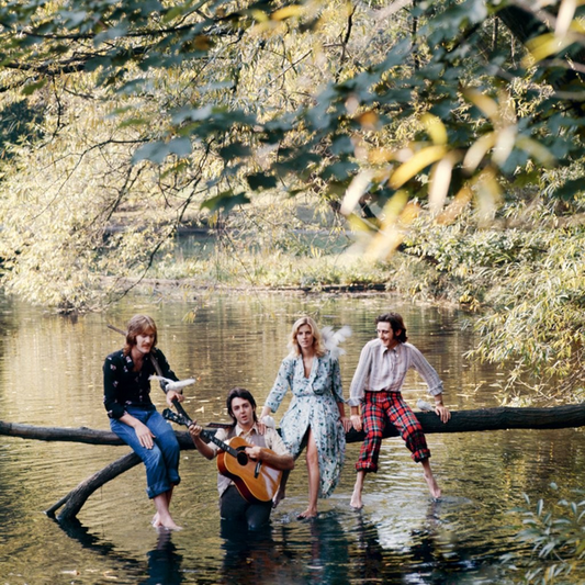 McCartney, Paul and Wings - Wild Life (2026 Reissue)