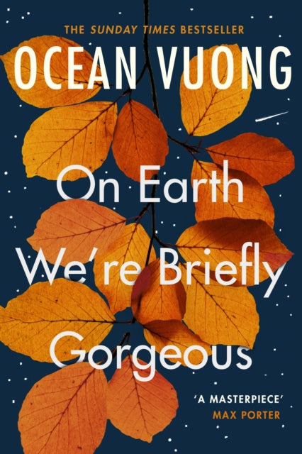 Vuong, Ocean - On Earth Were Briefly Gorgeous