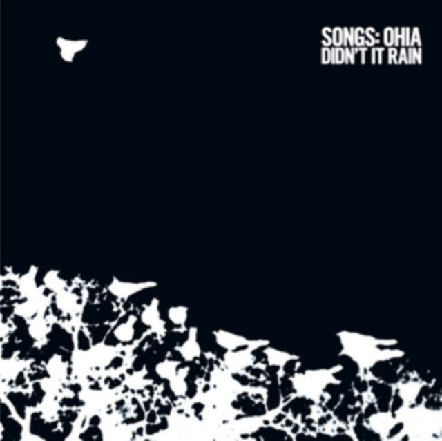 Songs: Ohia - Didn't It Rain