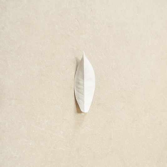 Chauveau, Sylvain - The Complexity of the Simple