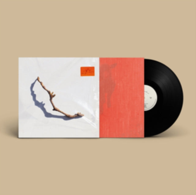 Harvey, PJ - I Inside The Old Year Dying