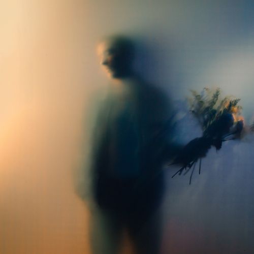 Bohmer, Ben - Bloom