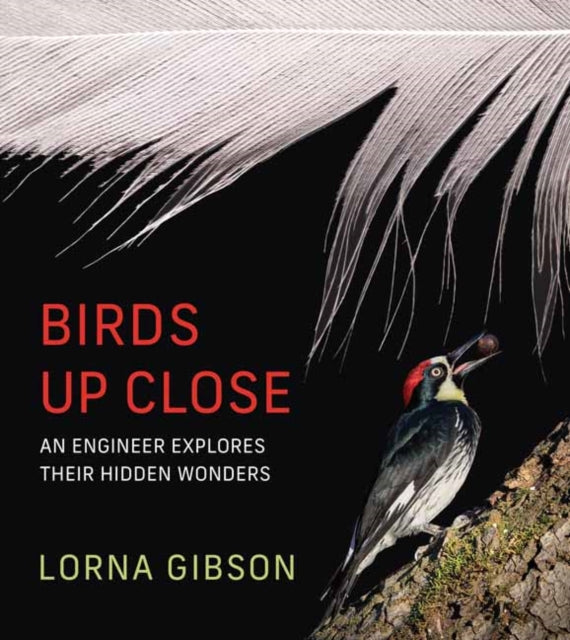 Gibson, Lorna - Birds Up Close: An Engineer Explores Their Hidden Wonders