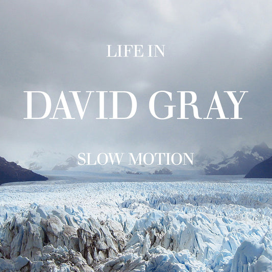 Gray, David - Life in Slow Motion (20th Anniversary Edition)