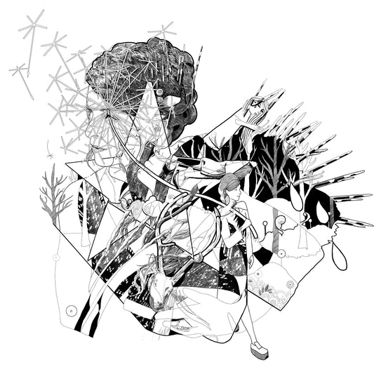 Hoop, Jesca - Selective Memory
